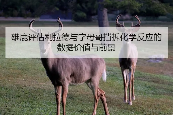 雄鹿评估利拉德与字母哥挡拆化学反应的数据价值与前景