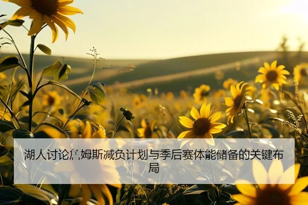 湖人讨论詹姆斯减负计划与季后赛体能储备的关键布局