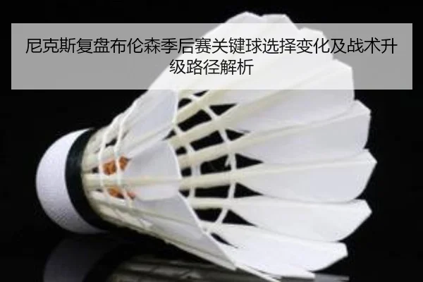 尼克斯复盘布伦森季后赛关键球选择变化及战术升级路径解析