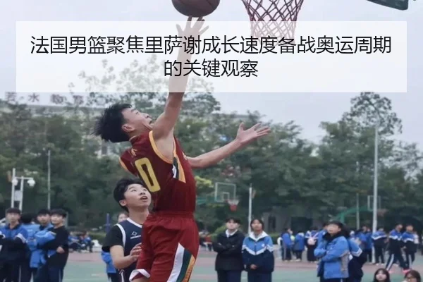 法国男篮聚焦里萨谢成长速度备战奥运周期的关键观察